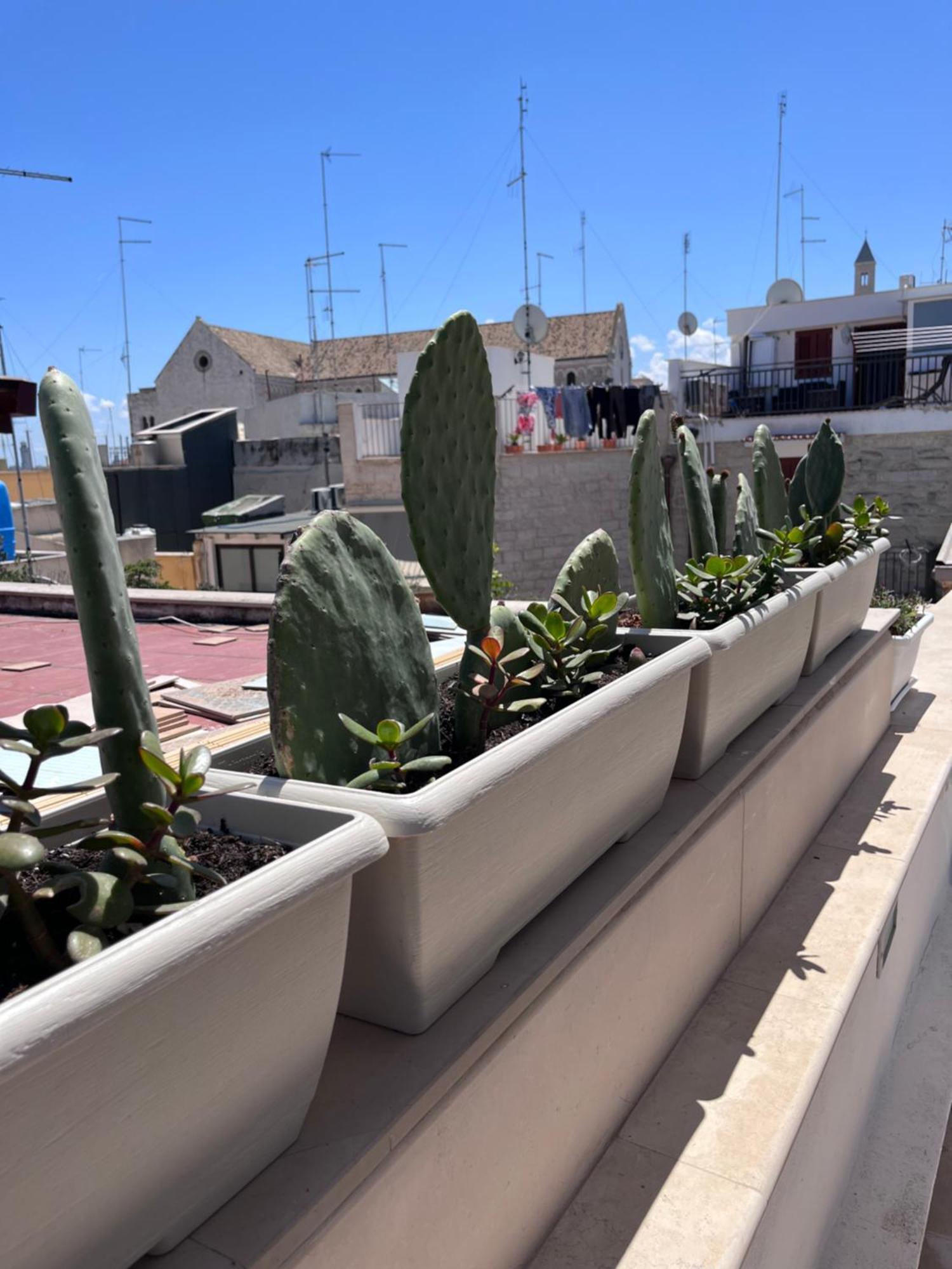 Casa Franca - Terracielo A Bari Vecchiaヴィラ エクステリア 写真